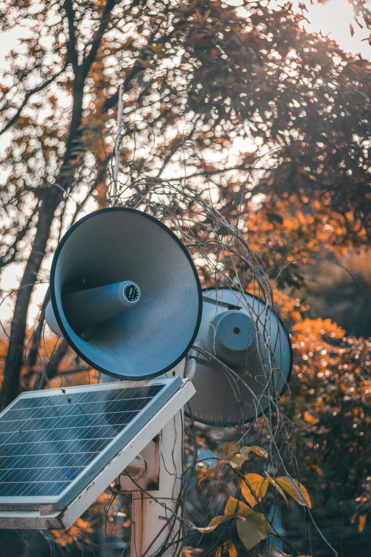 Pexels Ted Gao 3545246 32090079