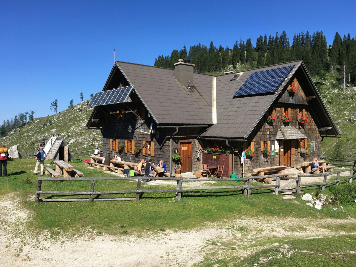 Pexels Robert Senz 422934874 15319513