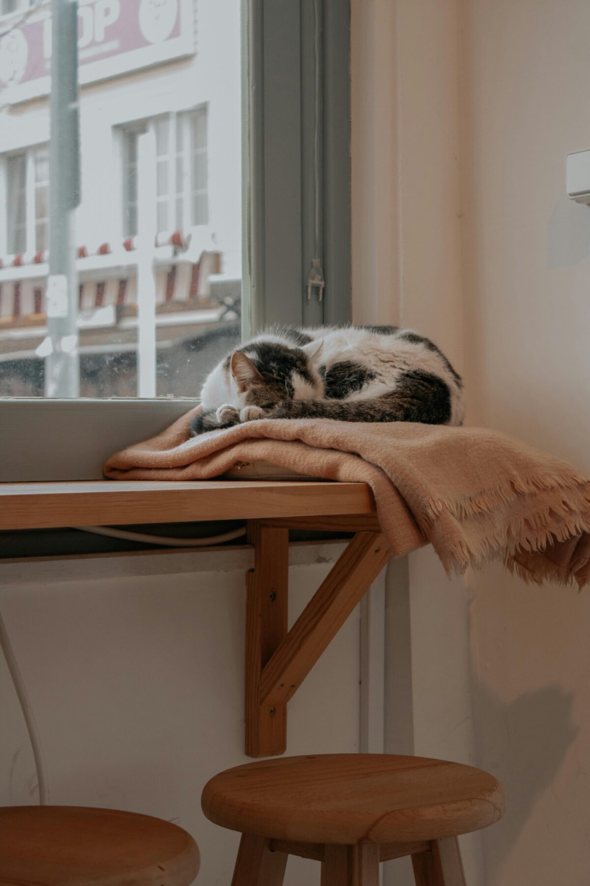 Pexels Zehra Gor 100261023 14897142